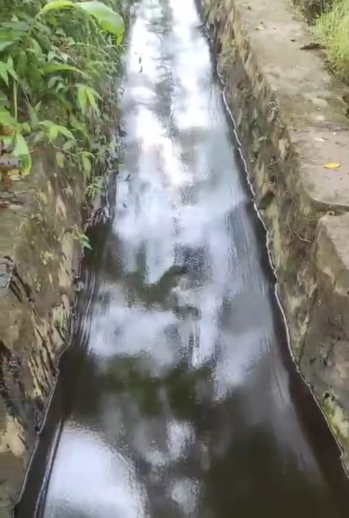 PIPA SALURAN MINYAK PT. VALE INDONESIA BOCOR, MENGANCAM PERSAWAHAN, PERKEBUNAN DAB TAMBAK IKAN MASYARAKAT DESA LIOKA KEC.TOWOTI LUWU TIMUR