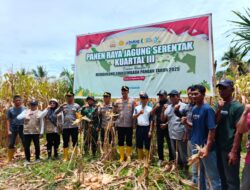 Polres Luwu Timur mengadakan Panen Raya Jagung Serentak Sebagai Bagian dari Program Swasembada Pangan Polri 2025