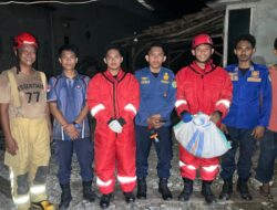 Damkar Lutim Evakuasi Sarang Tawon Vespa di Wonorejo Timur, Situasi Aman Terkendali