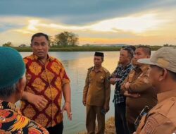 Pemkab Lutim Rombongan Study Visit Pandu Juara Kunjungi Sentra Budidaya Ikan Bandeng di Gresik