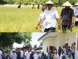 Bupati Irwan Dorong Kemajuan Pertanian Luwu Timur