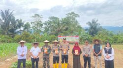 Penanaman Jagung Serentak Kuartal IV, Gerakan Pangan Murah, dan Bakti Kesehatan Digelar di Luwu Timur