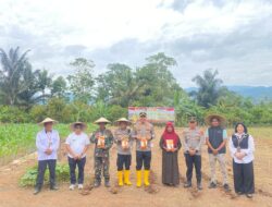 Penanaman Jagung Serentak Kuartal IV, Gerakan Pangan Murah, dan Bakti Kesehatan Digelar di Luwu Timur