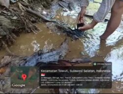 KLAIM AMAN PT VALE, LIMBAH MINYAK (MFO) MENGALIR KE SUNGAI DAN DANAU TOWUTI, WARGA DAN AKTIVIS PERTANYAKAN