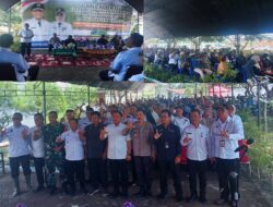 Bupati Luwu Timur Hadiri Panen Padi Deplot Penangkaran di BPP Wotu