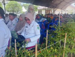 Camat Mangkutana Hadiri Panen Padi Deplot Penangkaran di BPP Wotu