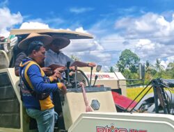 Bupati Luwu Timur Tegas: Pembeli Gabah di Bawah Harga Rp6.500 Akan Ditindak