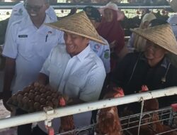 Bupati Luwu Timur Irwan Bachri Syam Apresiasi Peternakan Ayam di BPP Wotu