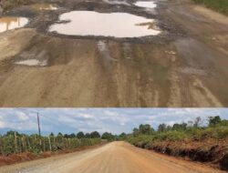 Jalan di Mahalona Raya Kini Mulus, Warga Libukan Mandiri dan Tole Rasakan Perubahan Nyata