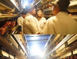 Peternakan Ayam Terbesar di Blitar Jadi Tempat Belajar Rombongan Pandu Juara Lutim