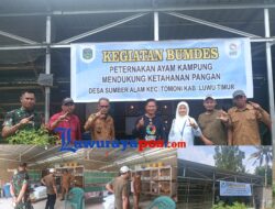BUMDes Sumber Alam Kembangkan Peternakan Ayam Kampung Dukung Ketahanan Pangan Desa