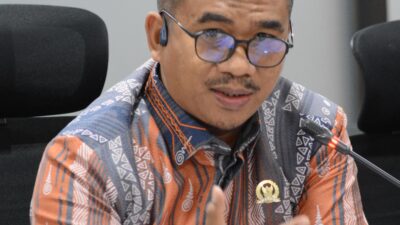 Firman Udding: Tuntutan Provinsi Luwu Raya Soal Sejarah dan Keadilan, Pemerintah Pusat Jangan Abai