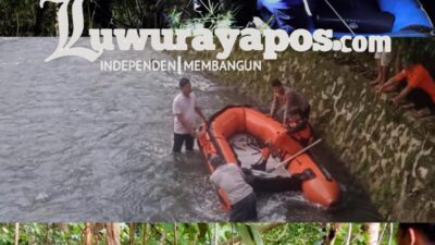 Warga Dilaporkan Hilang di Sungai Mallaulu, Tim Rescue Damkar Luwu Timur Diterjunkan