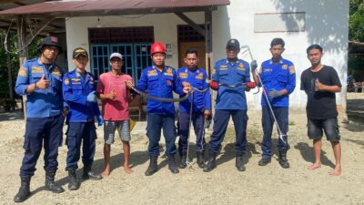 Tim Posko Tomoni dan Tomtim Evakuasi Ular Kobra di Beringin Jaya