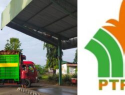 Petani Lagego Kecewa, TBS Ditolak PTPN IV Burau