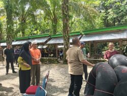 Turun ke Lapangan, Bupati Luwu Timur Cek UMKM dan Tarif Jasa Wisata