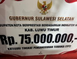 Luwu Timur Raih Tiga Penghargaan dari Gubernur Sulawesi Selatan