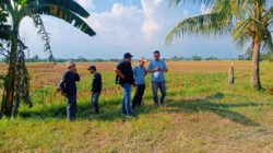 Dwi Heryanto Tinjau Peningkatan Jalan Tani di Wonorejo Timur, Kawal Aspirasi Petani