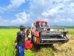 Pencurian dan Pengrusakan Kabel Aki Combine Harvester Terjadi di Sindu Agung, Polisi Lakukan Penyelidikan