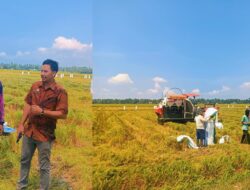 Harga Padi Tembus Rp7.000/Kg, Petani Desa Mekarsari Apresiasi Kepedulian Bupati