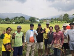 Anggota DPRD Luwu Timur, Firman Udding Weekend Bersama Petani, Syukuri Harga Gabah Rp7.000 di Pongkeru
