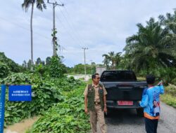 Kadis BPBD Lutim Tinjau Dampak Banjir di Desa Balo-Balo Usai Upacara Hardiknas
