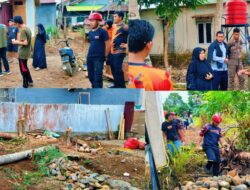 Eksekusi Pohon Kering dan Kelapa Berisiko Tinggi di Desa Puncak Indah, BPBD Luwu Timur Libatkan Tim Gabungan
