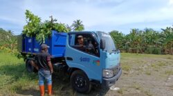 Desa Solo Bersih dan Sehat, Pemkab Lutim Gencarkan Pengangkutan Sampah