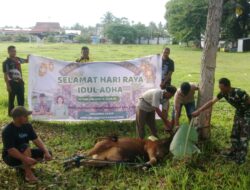 Koramil 1403-14 Mangkutana Tebar Kepedulian Lewat Kurban Idul Adha 1447 H