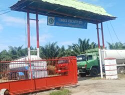 Lagi-Lagi PTPN IV Regional 2 PKS Luwu Tolak Buah Plasma, Masyarakat Burau, Luwu Timur hingga Luwu Utara Menjerit