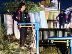 Timbangan Belum Tera Ulang Masih Digunakan Saat Pembelian Gabah di Tomoni Timur