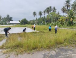 Semangat Gotong Royong dalam Jum’at Bersih Juara dan Penyaluran BLT-DD Triwulan I Desa Lakawali