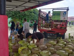 Disdagkop-UKMP Luwu Timur Fasilitasi Penyaluran 400 Tabung LPG 3 Kg untuk Masyarakat Sekitar