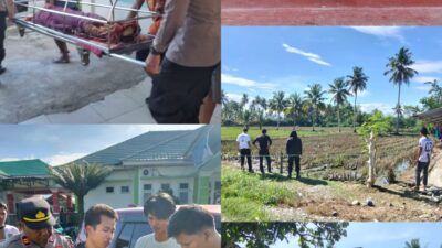 Kurang dari 9 Jam, Polres Luwu Timur Ungkap Kasus Pembunuhan Perempuan Muda di Kalaena