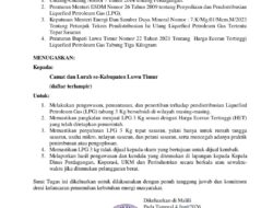 Disdagkop-UKMP Luwu Timur Tugaskan Camat dan Lurah Awasi Distribusi LPG 3 Kg Bersubsidi
