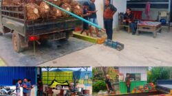 Disdakopukmp Luwu Timur Laksanakan Tera Ulang Jembatan Timbangan TBS Sawit di Kecamatan Angkona dan Kalaena