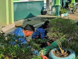 Jumat Bersih Juara, Puskesmas Mangkutana Perkuat Budaya Hidup Bersih dan Sehat