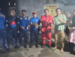 Damkar Luwu Timur Evakuasi Sarang Tawon Vespa di Desa Beringin Jaya, Lindungi Warga dari Ancaman Sengatan