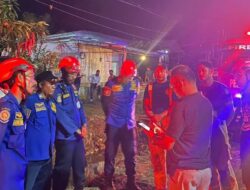 Dipimpin Kadis Guntur Hafid, Damkar Luwu Timur Berjibaku Padamkan Kebakaran Lahan di Atue