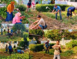 Jumat Bersih Juara, Pemdes Bone Pute Panen Ubi Jalar dari Pemanfaatan Lahan Kosong
