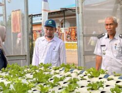 Tabarano dan Balantang Diverifikasi, Luwu Timur Targetkan Boyong Trofi Proklim Utama 2026