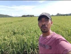 Petani Muda Tomoni Timur Buktikan Bertani Bisa Jadi Jalan Menuju Kemandirian Ekonomi