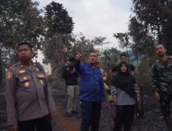 Respons Cepat Kebakaran Hutan, Bupati Luwu Timur Tinjau Lokasi di Puncak Indah