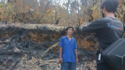 Kebakaran Hutan Wonorejo Merambat ke Maleku, Sekitar 2 Hektare Sawit Warga Hangus