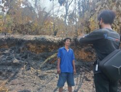 Kebakaran Hutan Wonorejo Merambat ke Maleku, Sekitar 2 Hektare Sawit Warga Hangus
