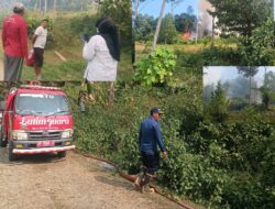 Empat Armada Pemadam Dikerahkan Tangani Kebakaran Hutan di Wonorejo