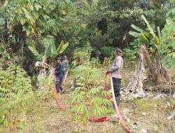 TNI-Polri dan Satpol PP Bersinergi Tangani Kebakaran Hutan di Wonorejo