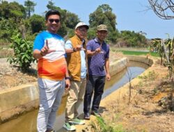 Dinas Pertanian Luwu Timur Siapkan Irigasi Perpompaan Hadapi Dampak El Nino