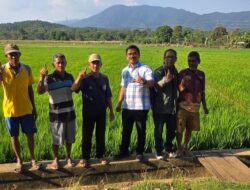 Firman Udding Turun Bersama Petani Pongkeru, Pompa Air Sungai untuk Selamatkan Sawah dari Kekeringan