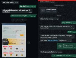 Waspada! Akun WhatsApp Wakil Bupati Luwu Timur Puspawati Husler Diduga Diretas